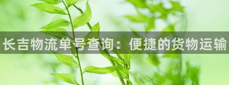 28圈昵称：长吉物流单号查询：便捷的