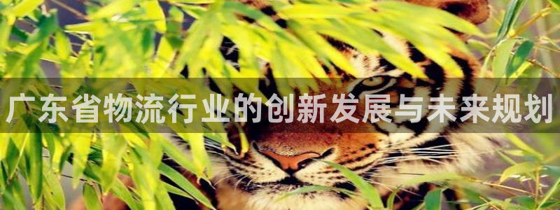 28圈农业银行是狗卡吗：广东省物流行