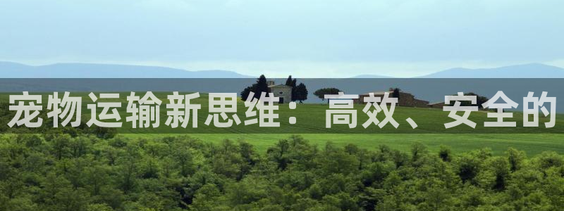 28圈登录：宠物运输新思维：高效、安