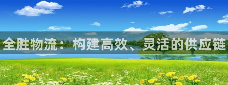 28圈网赌案件：全胜物流：构建高效、