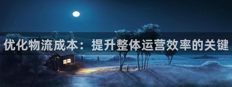 28圈加拿大能提现吗：优化物流成本：