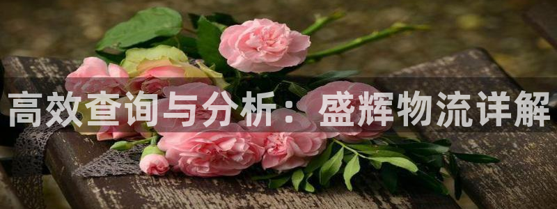 28圈注册网站：高效查询与分析：盛辉