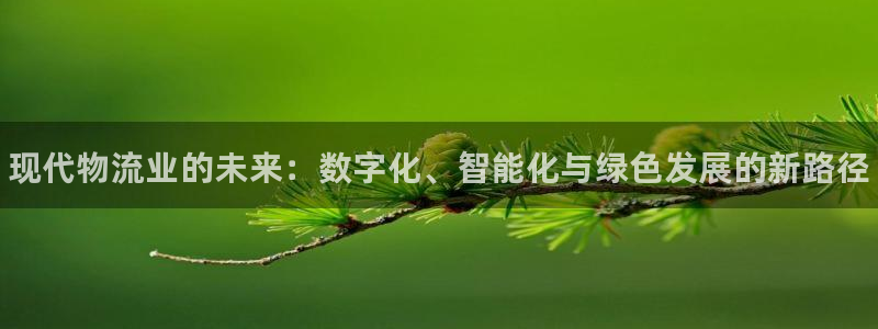 28圈怎么下载：现代物流业的未来：数