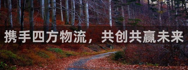 28圈注册二维码：携手四方物流，共创