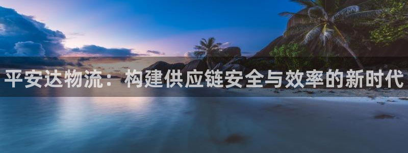 28圈能提现吗:平安达物流:构建供应