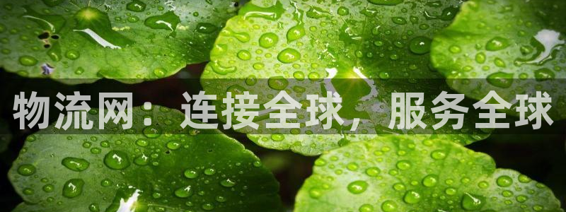 28圈比特28真实吗：物流网：连接全