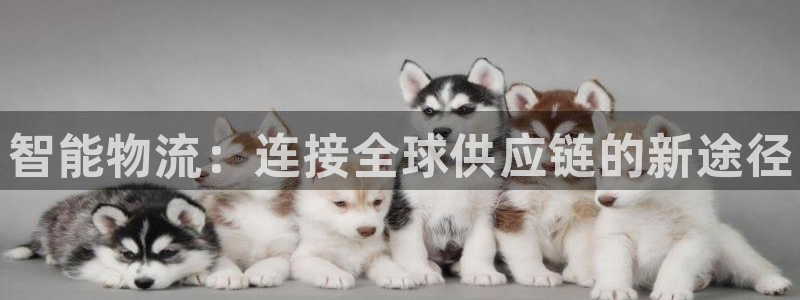 28圈娱乐官网网页