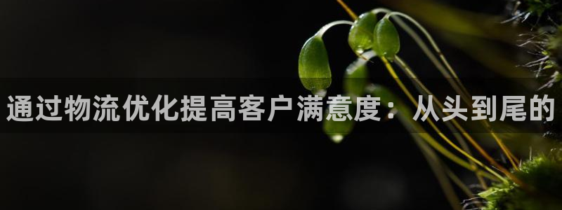 28圈口内径是多大:通过物流优化提高