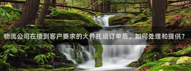 28圈加拿大走势：物流公司在接到客户