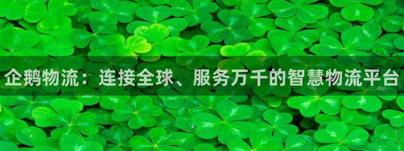 28圈登录不上咋回事：企鹅物流：连接全球、服务万千的智慧物流