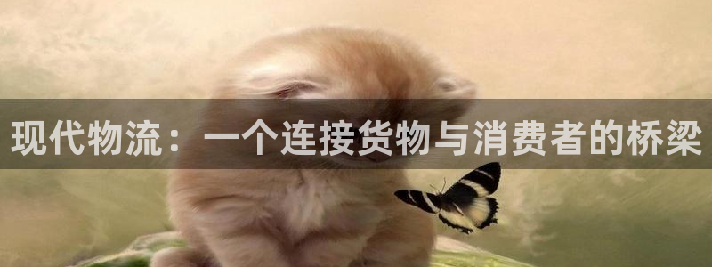 28圈是什么软件：现代物流：一个连接