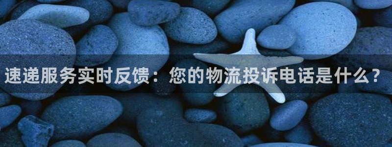 28圈如何退款：速递服务实时反馈：您