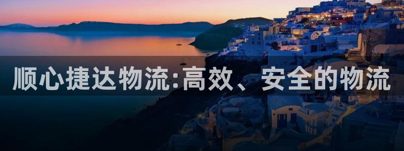 28圈注册网址：顺心捷达物流:高效、