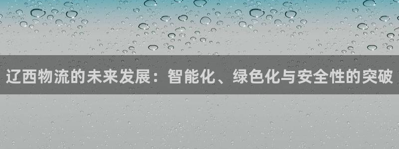 28圈代理落网：辽西物流的未来发展：