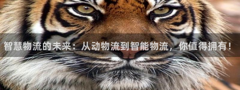 28圈注册网站多少