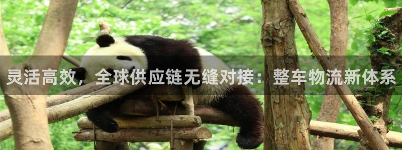 28圈百度百科：灵活高效，全球供应链