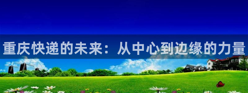 28圈里的财神:重庆快递的未来:从中