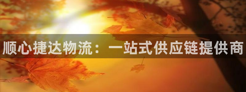 28圈激活码:顺心捷达物流:一站式供