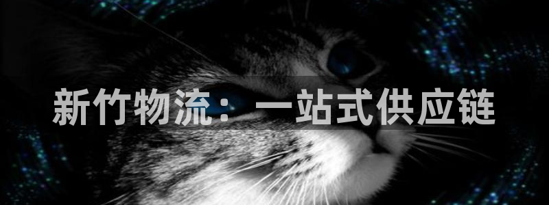 28圈模拟:新竹物流:一站式供应链