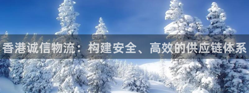 28圈吧：香港诚信物流：构建安全、高