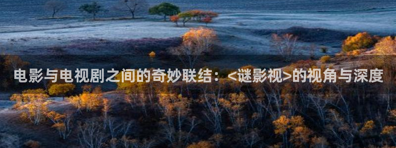 四库影音