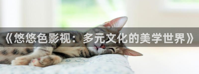 四库影院永久地址www