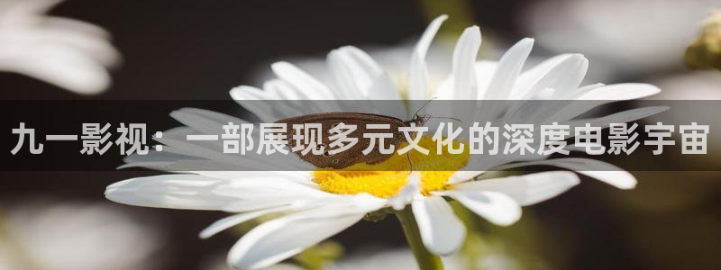 四库影音