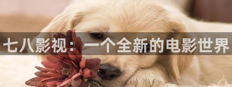 四库影院在线看