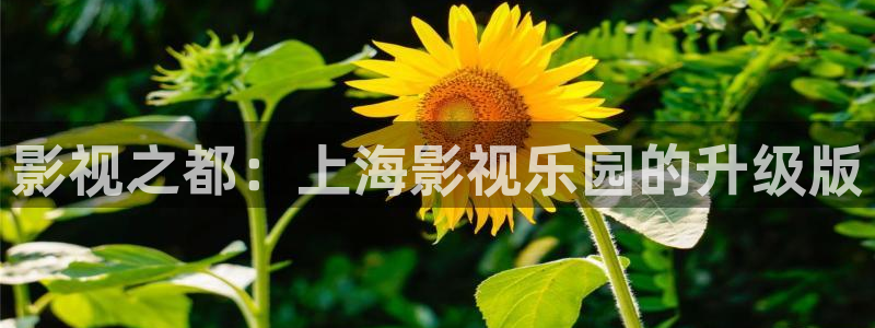 四库影视在线