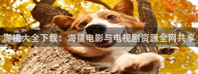 四库影院永久国产精品
