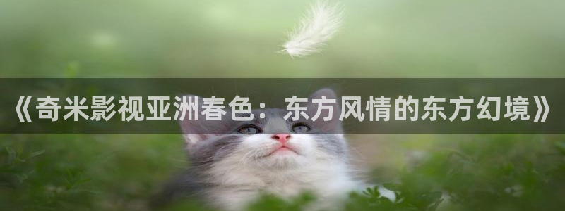 四库影院精品在线